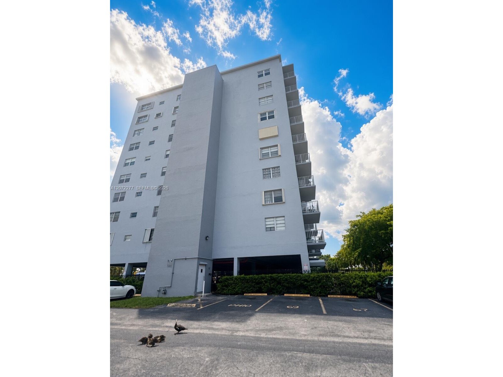 Image - 1