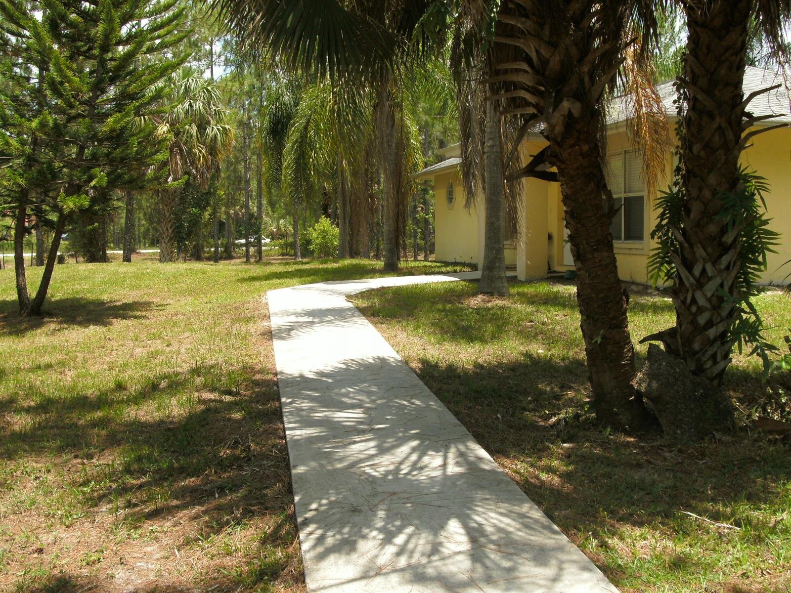 Image - 1