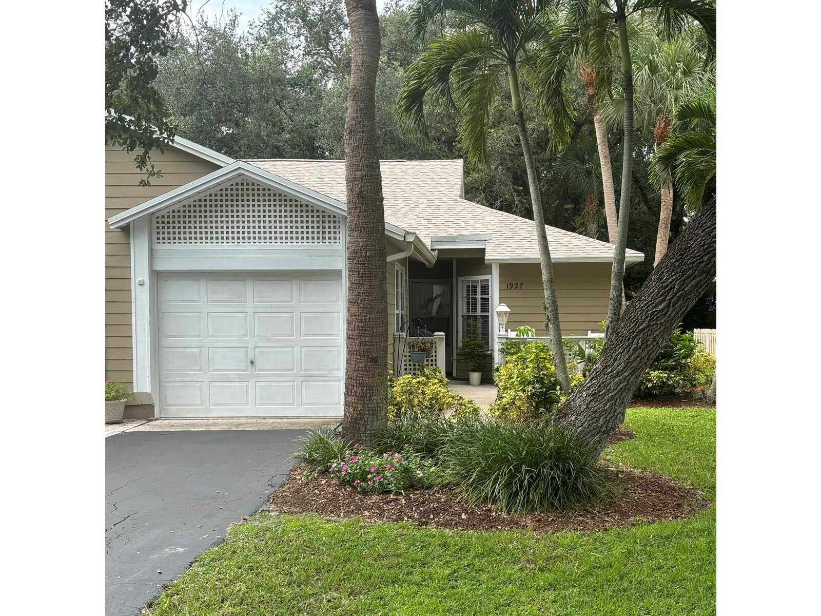 Image - 1