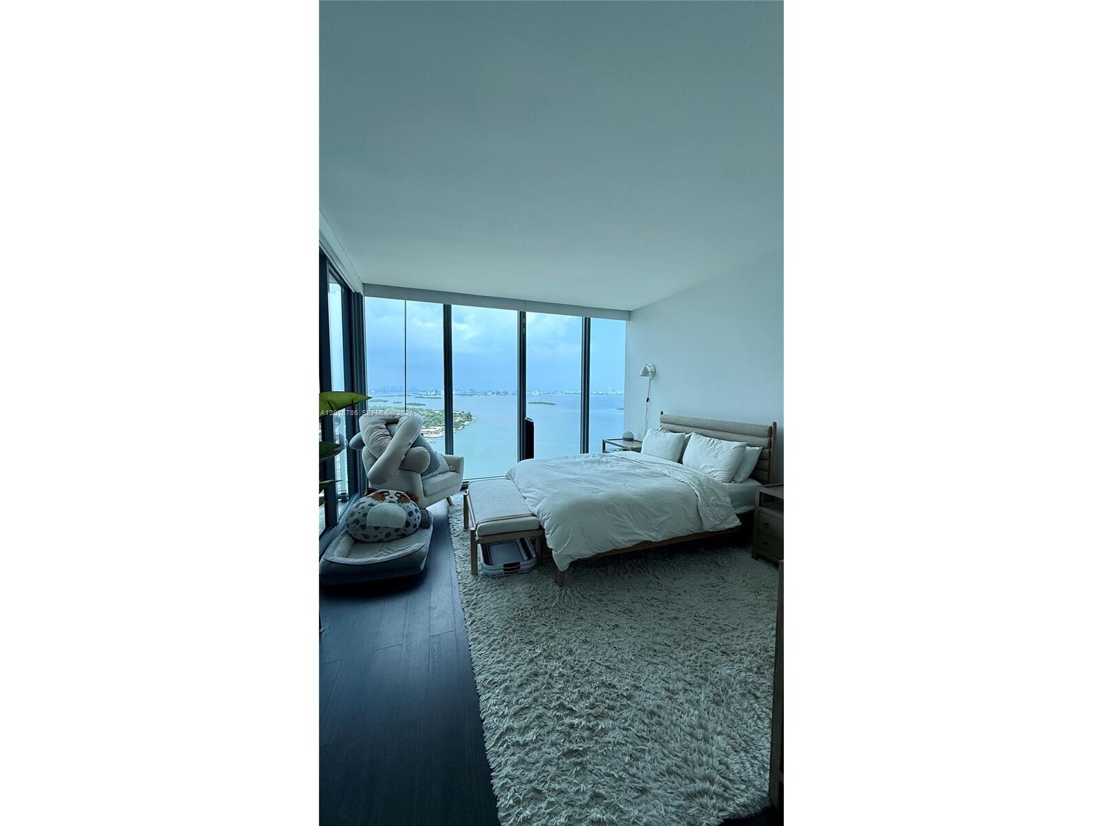 Image - 1