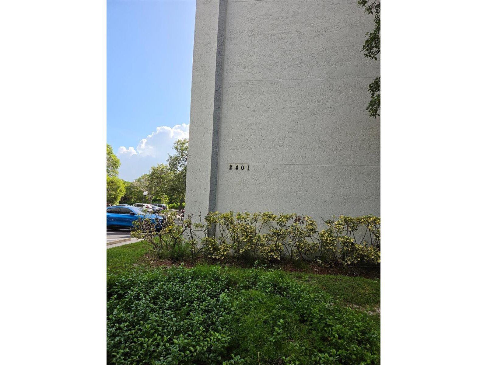 Image - 3