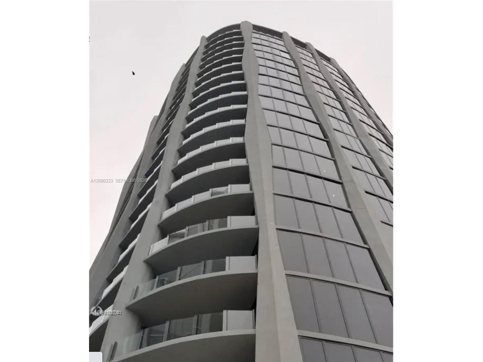 Image - 1