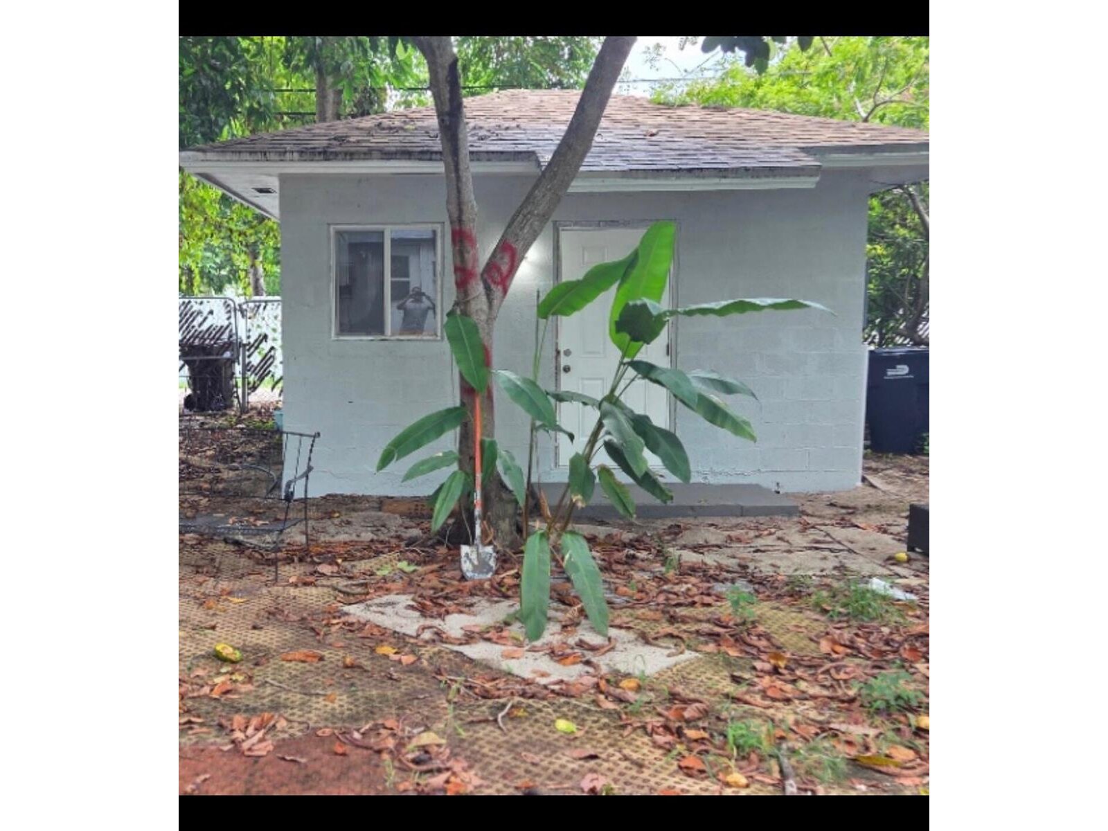 Image - 1