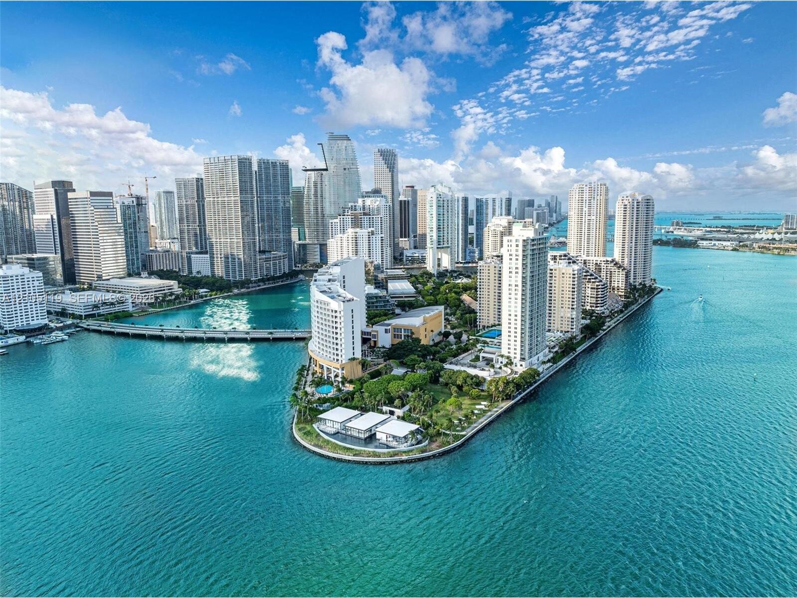 Image - 1