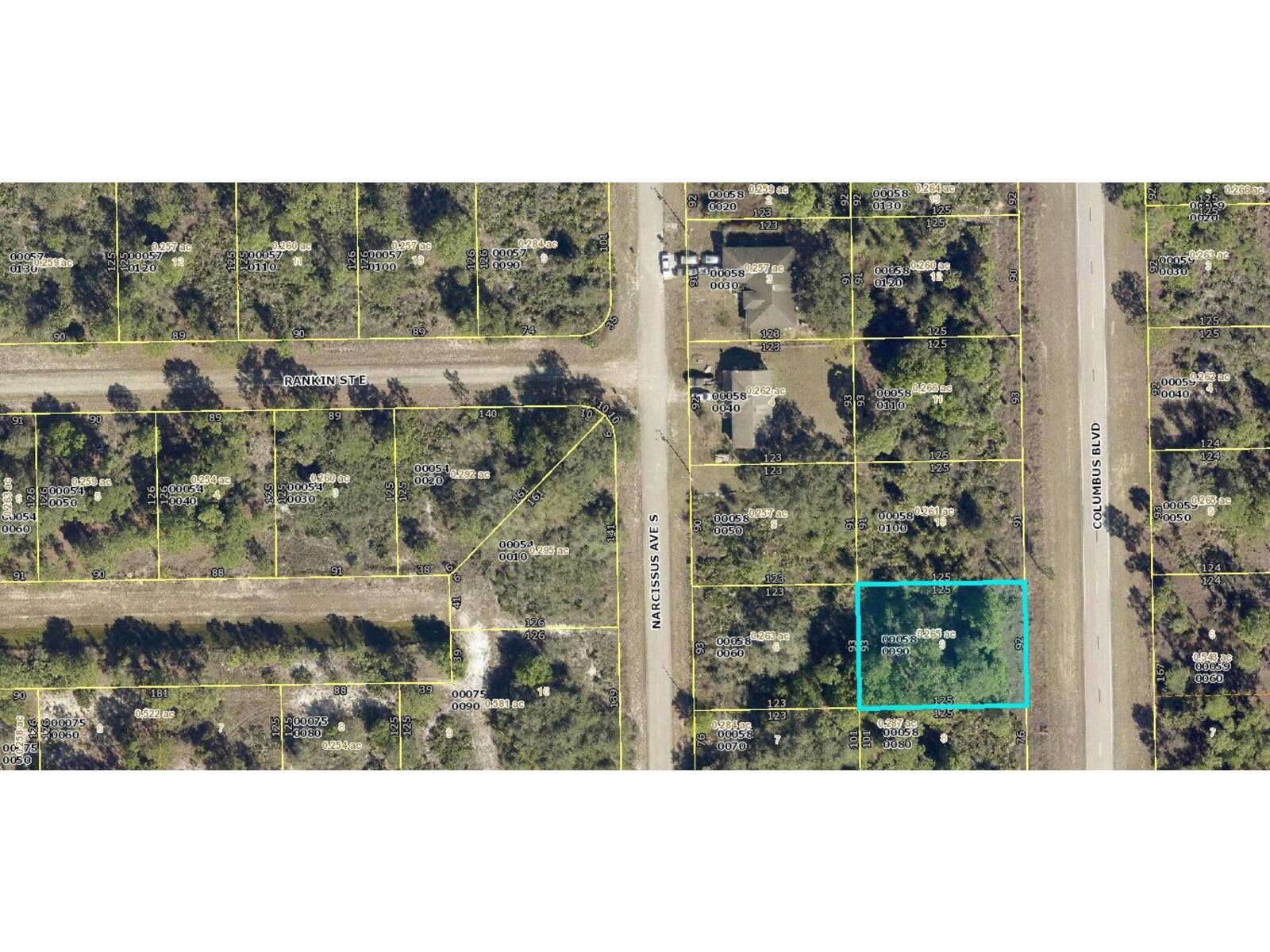 Image - 1