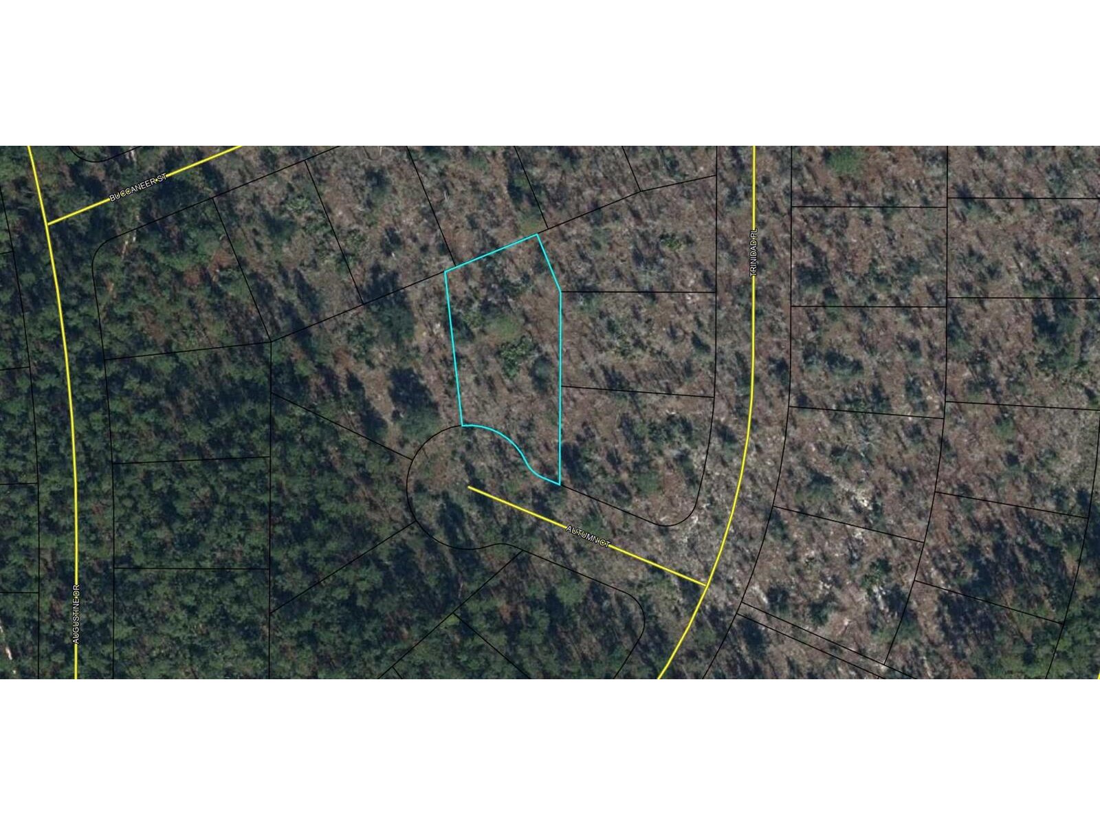 Image - 1