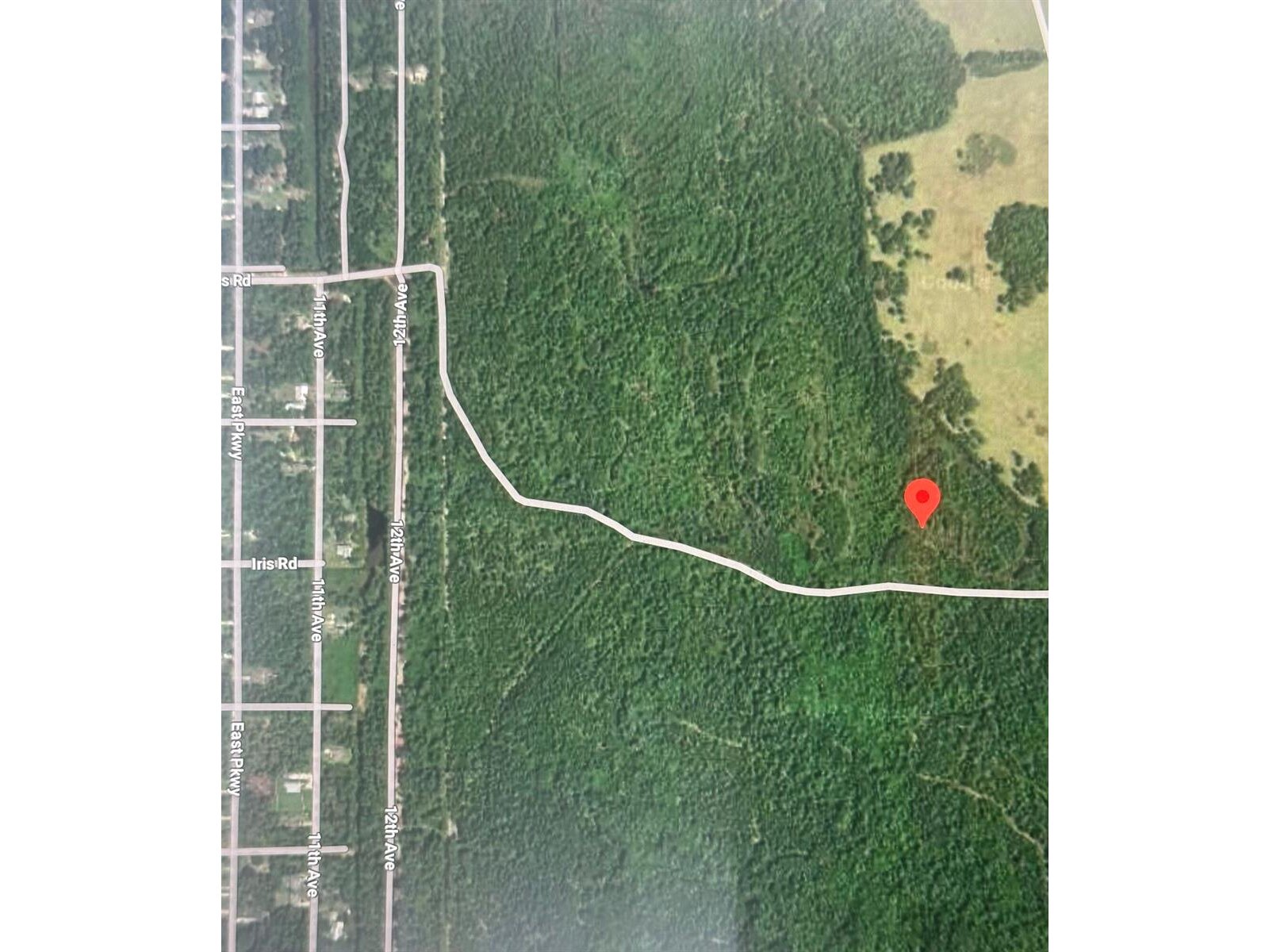 Image - 1