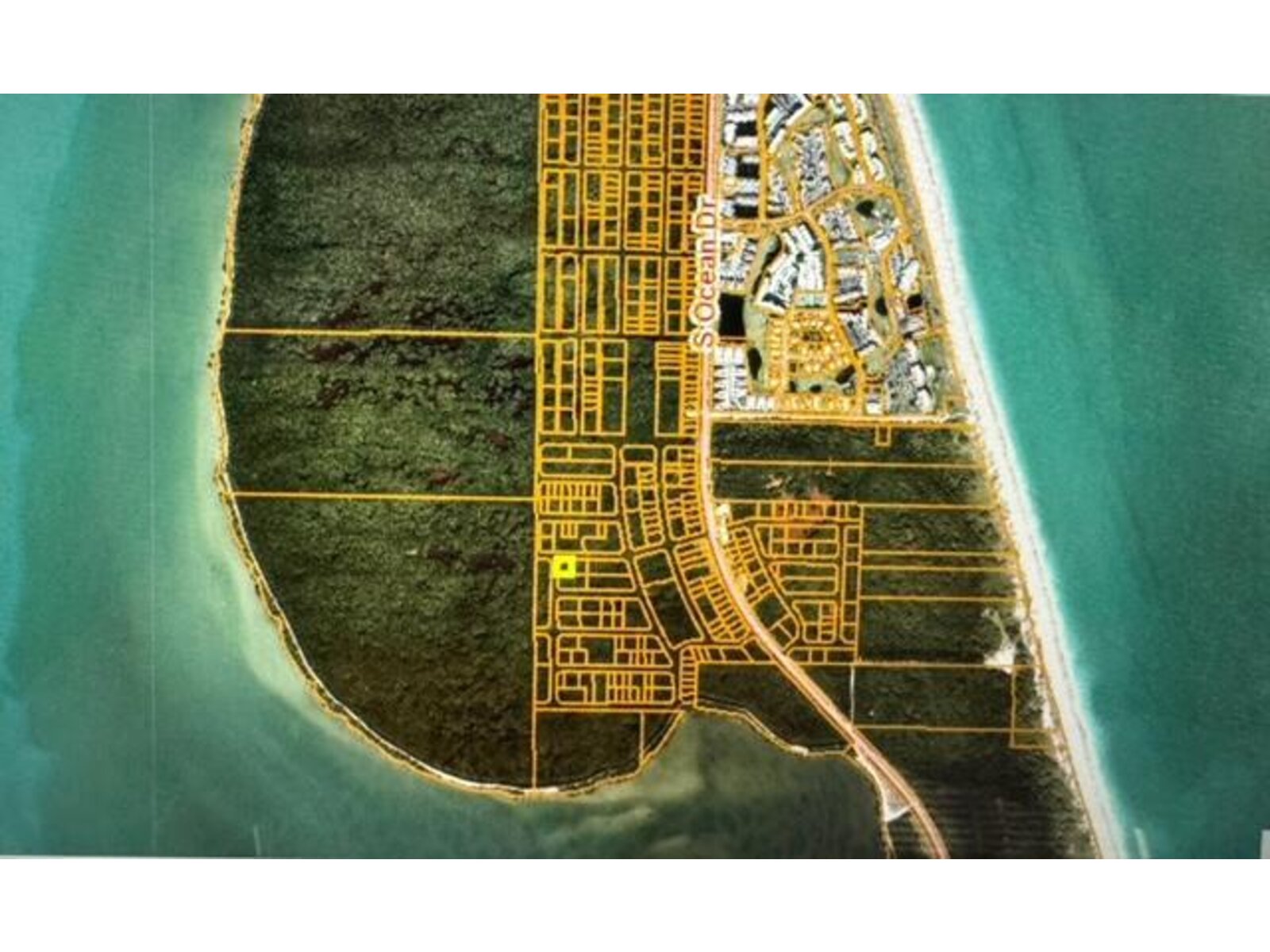 Image - 1