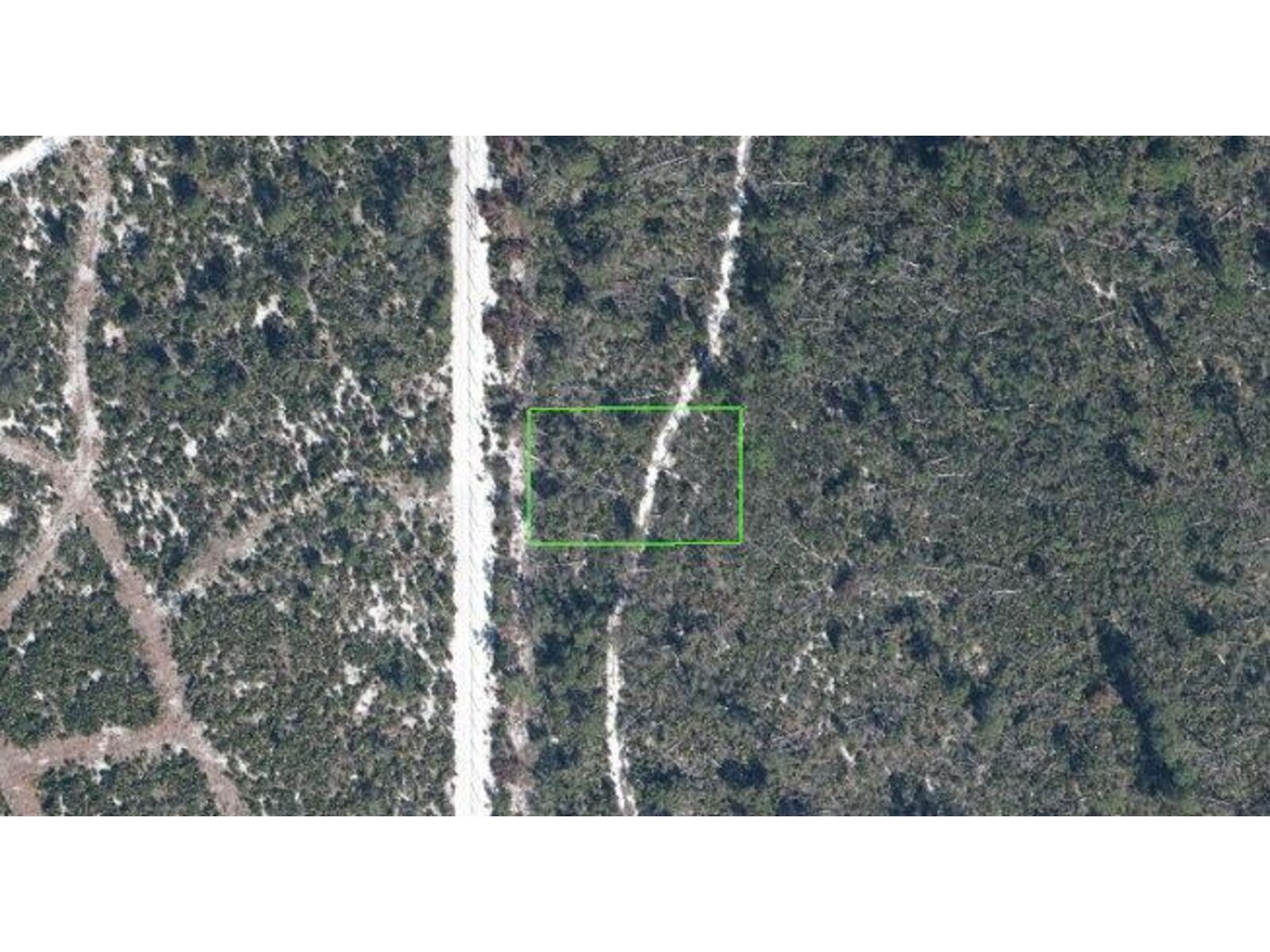 Image - 1