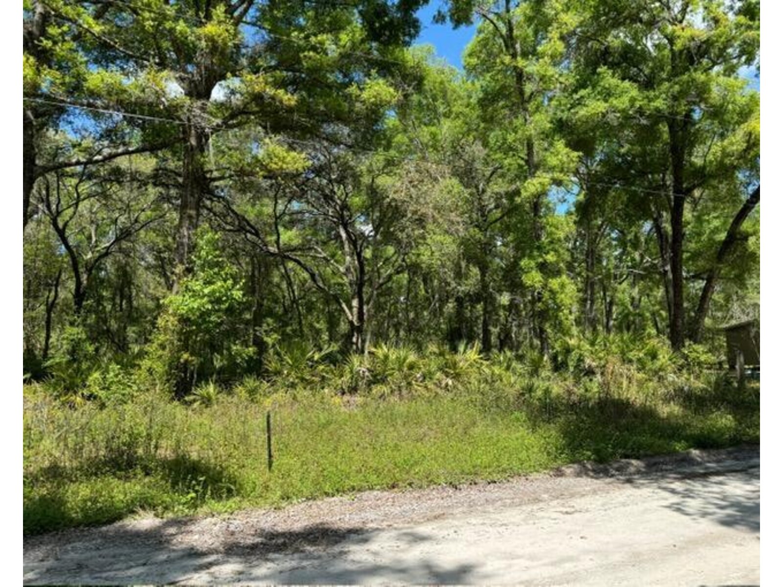 Image - 1