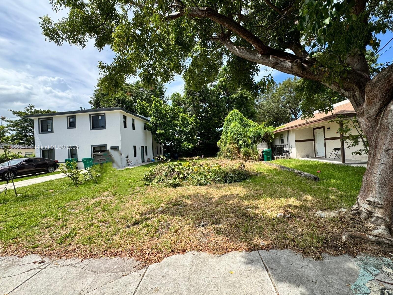 Image - 1