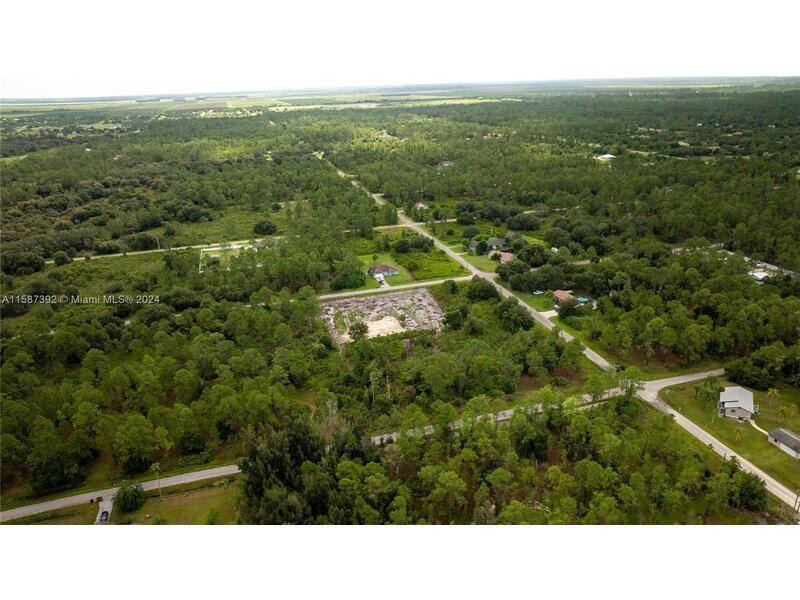Image - 1