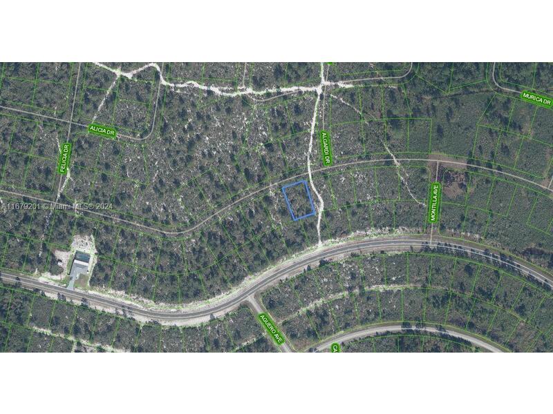 Image - 1