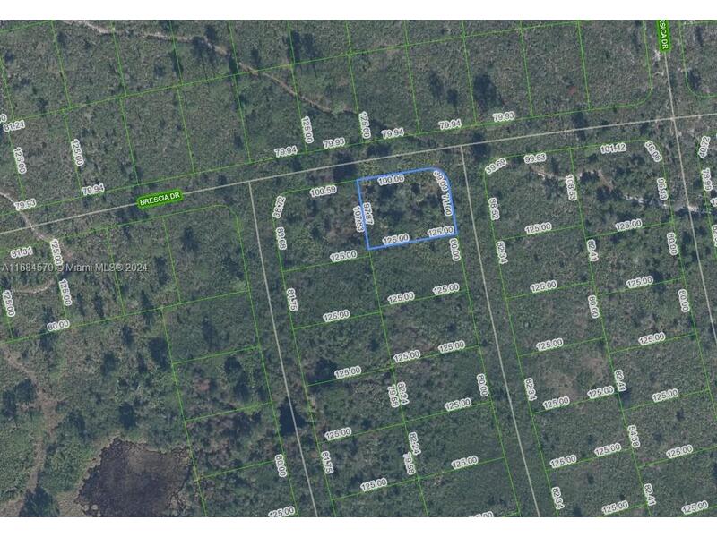 Image - 1