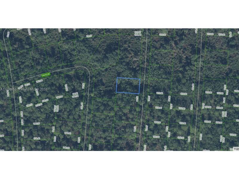 Image - 1