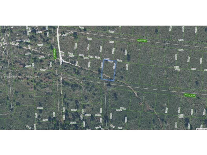 Image - 1