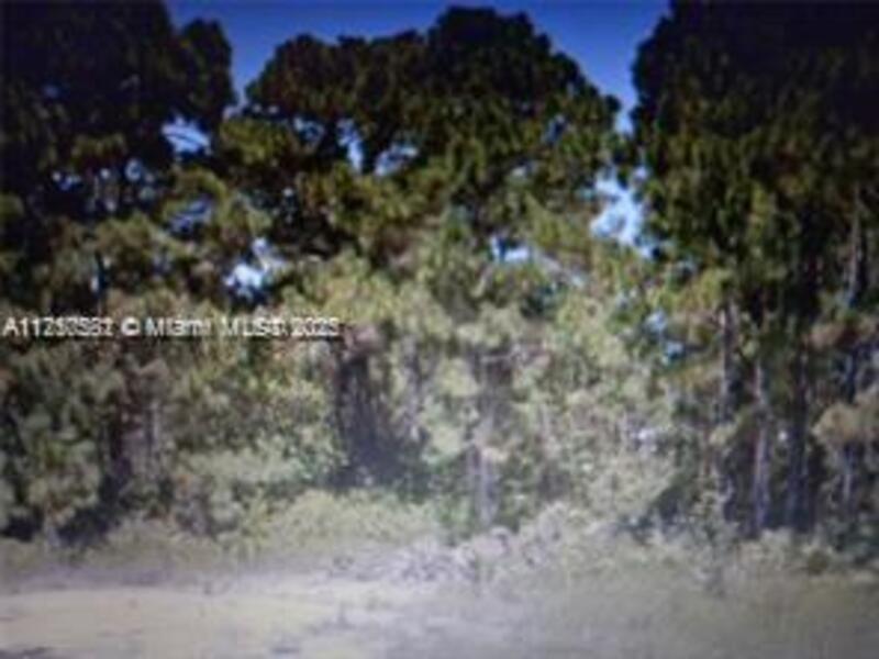 Image - 1
