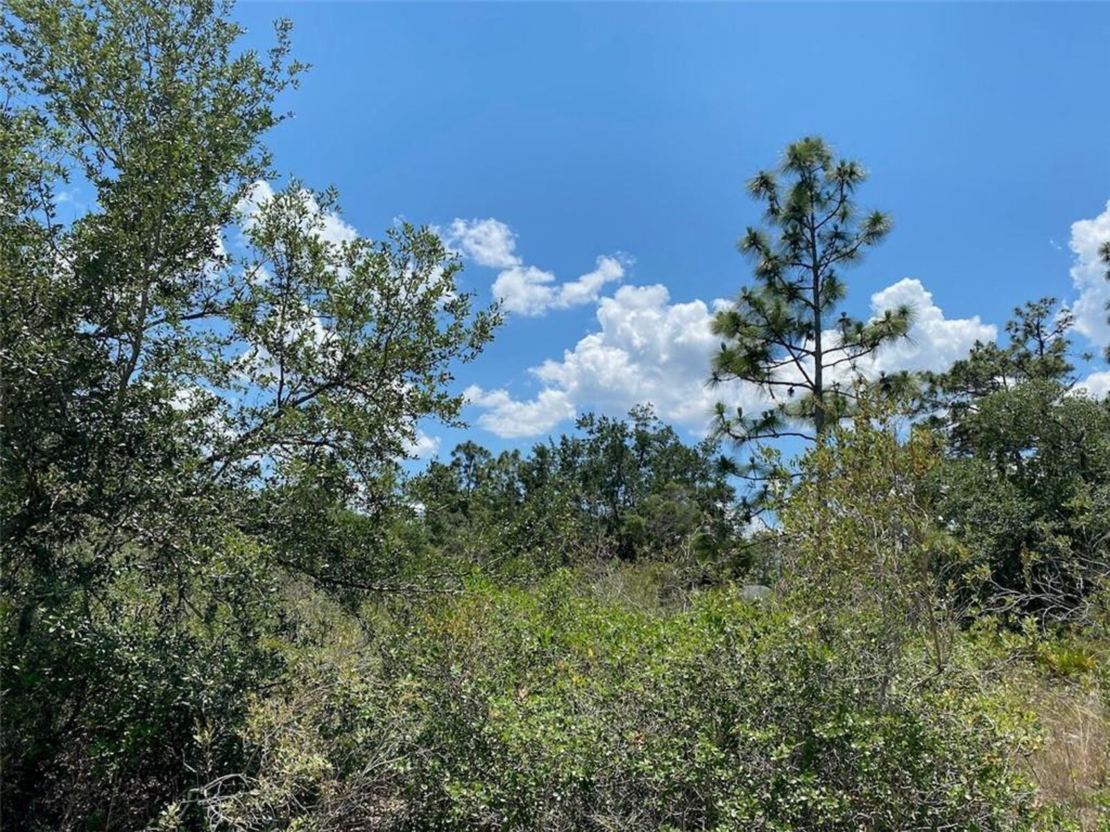 Image - 1