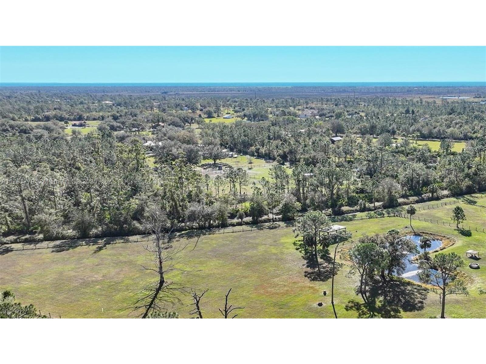 Image - 1