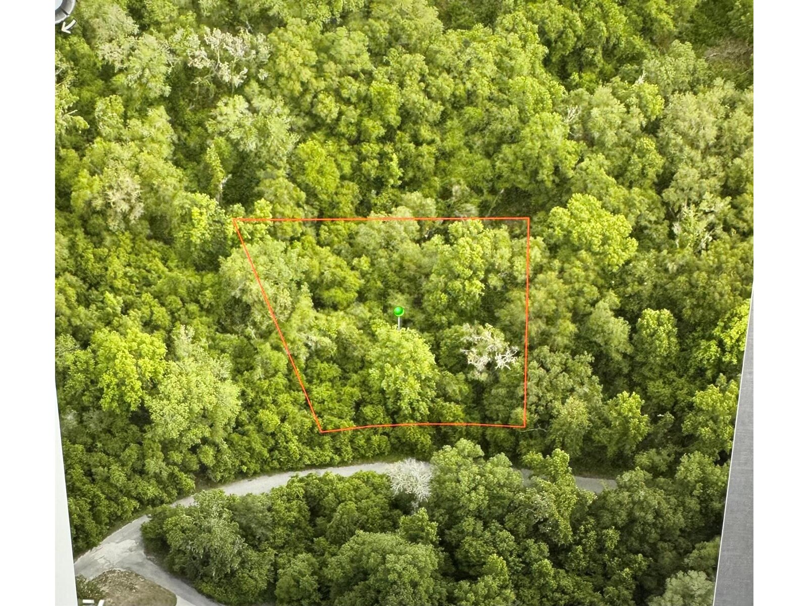Image - 1