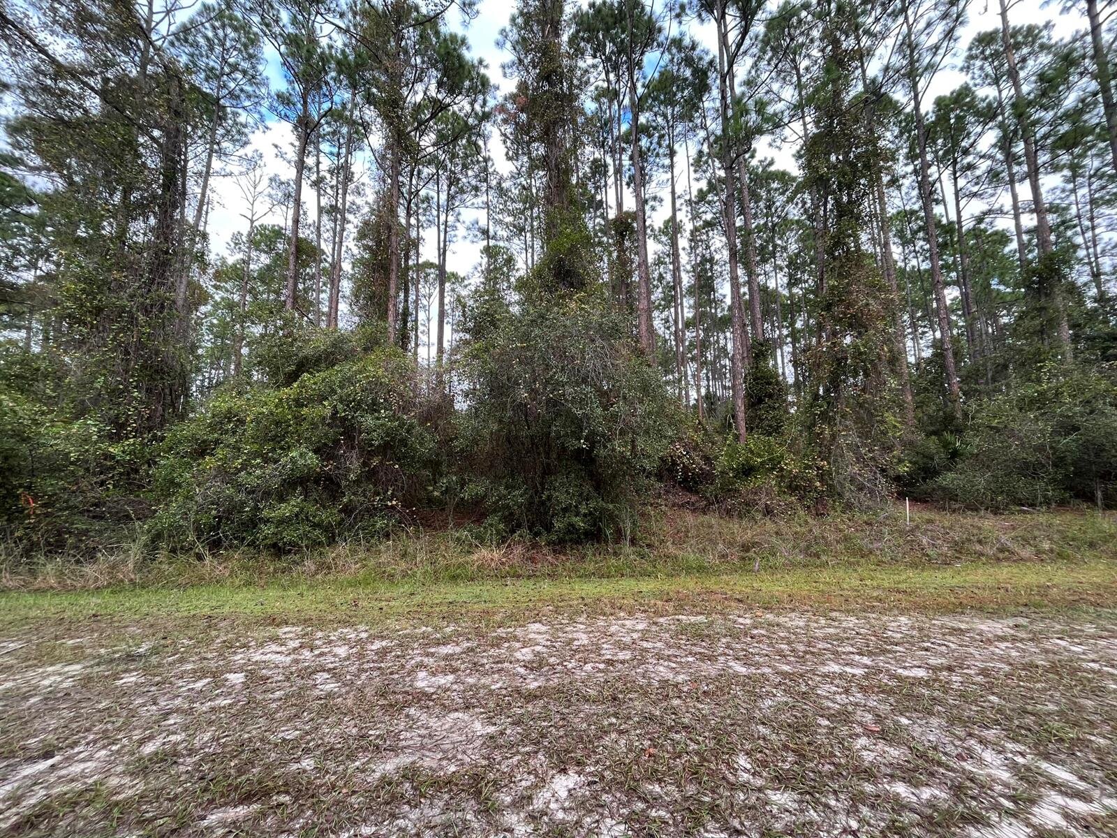 Image - 1
