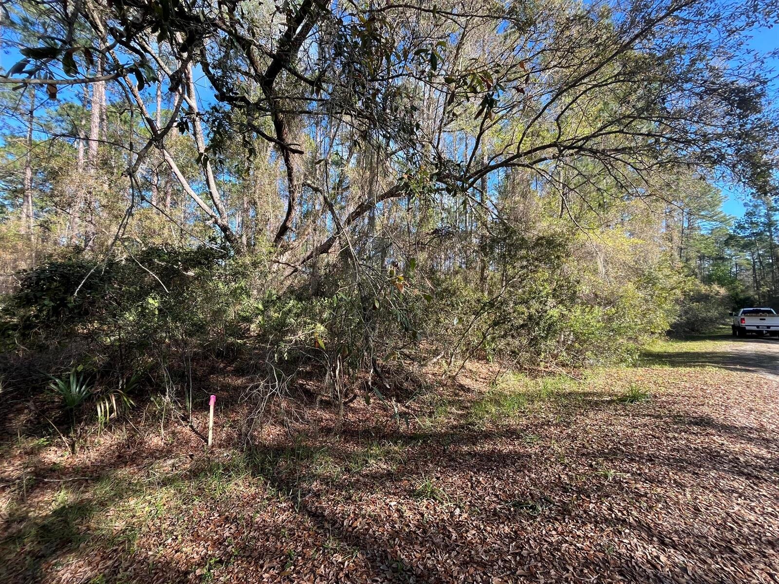 Image - 1