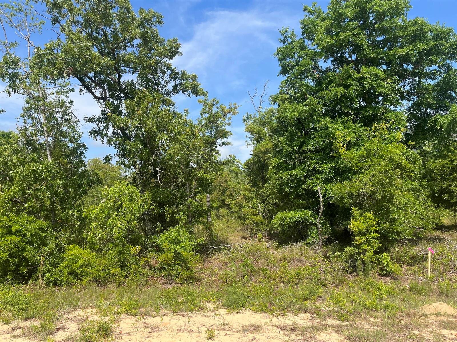 Image - 1