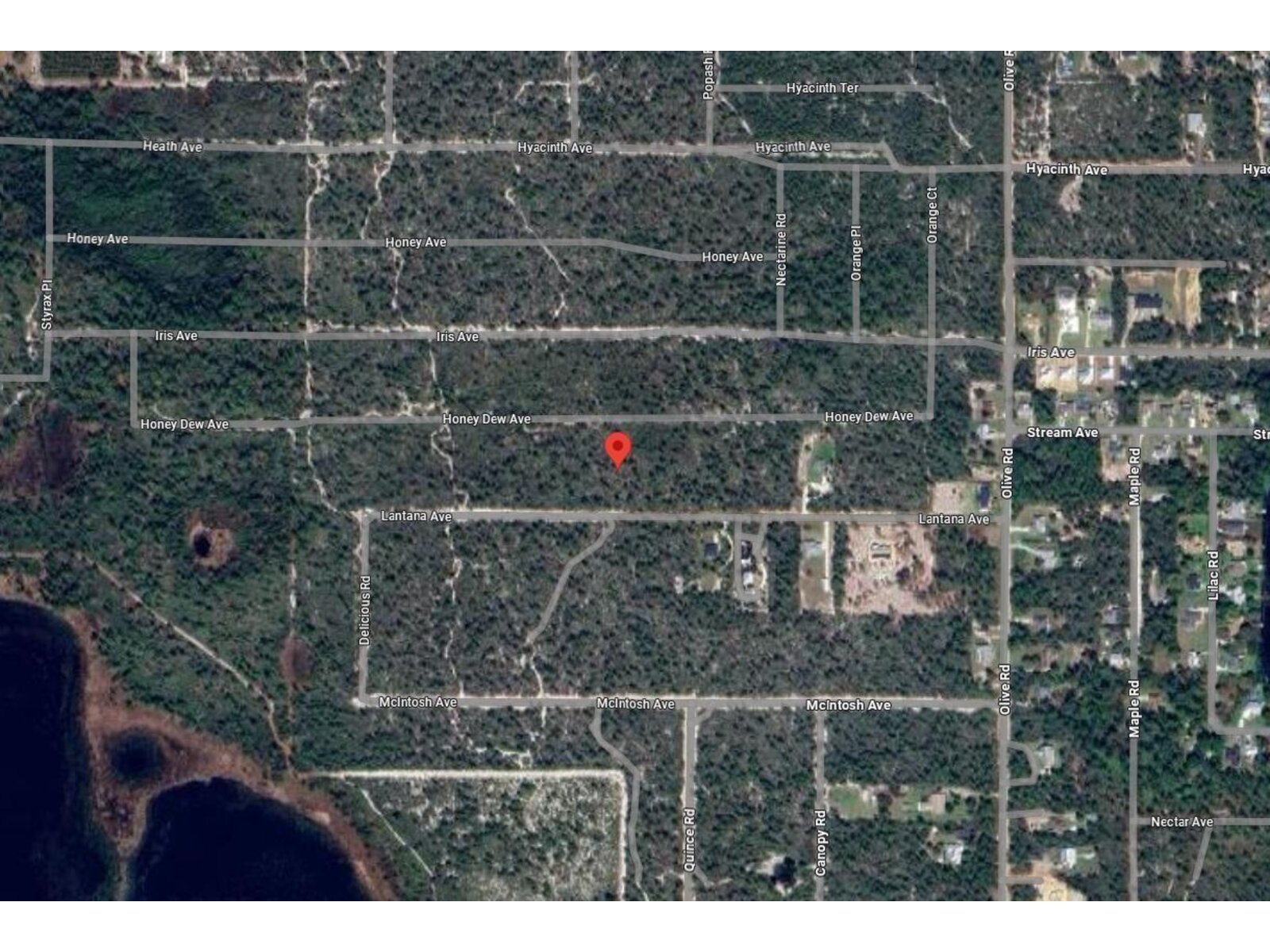 Image - 1