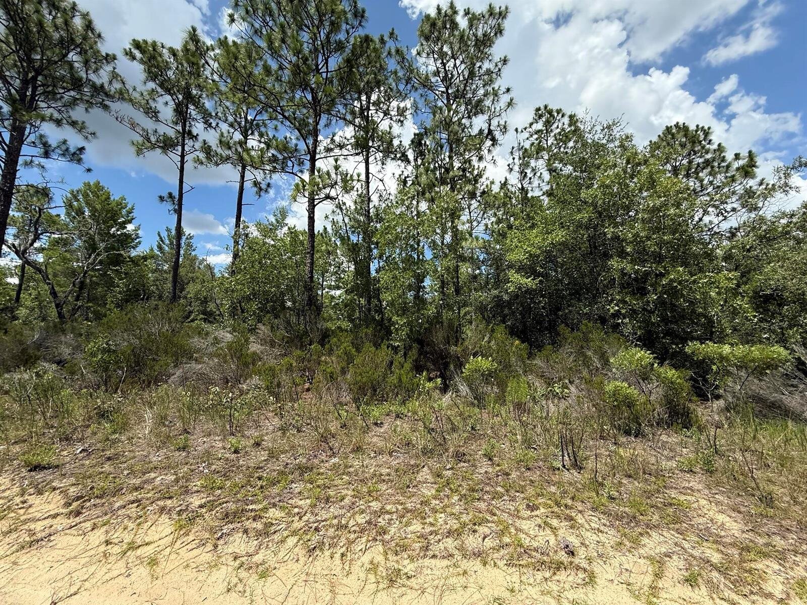 Image - 1