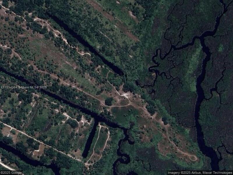 Image - 1