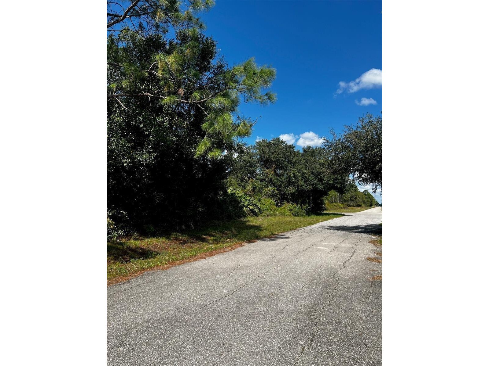 Image - 1