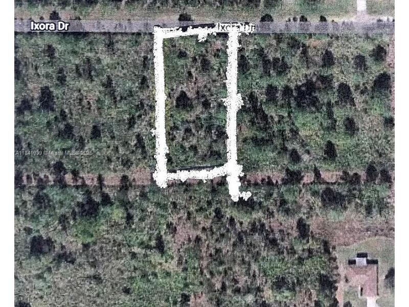 Image - 1