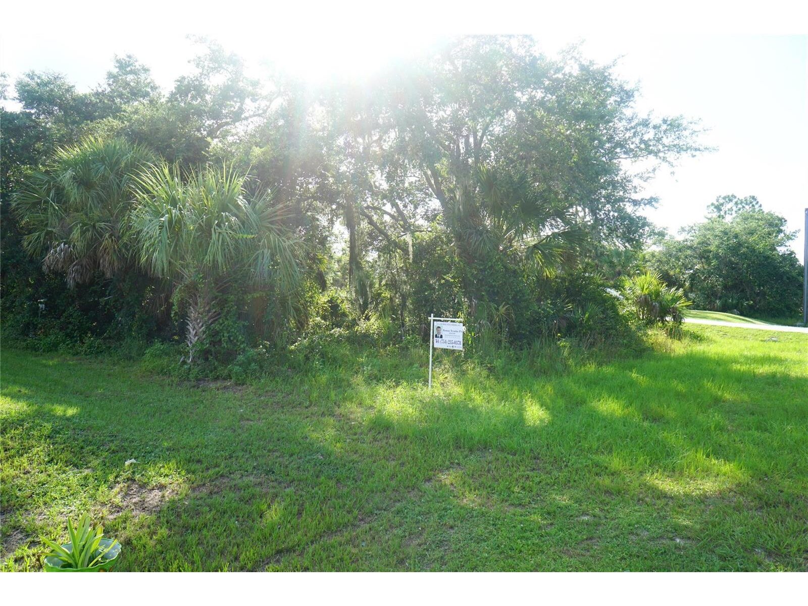 Image - 1