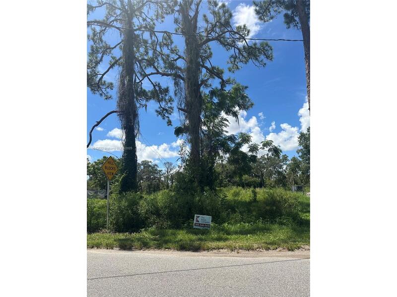 Image - 1