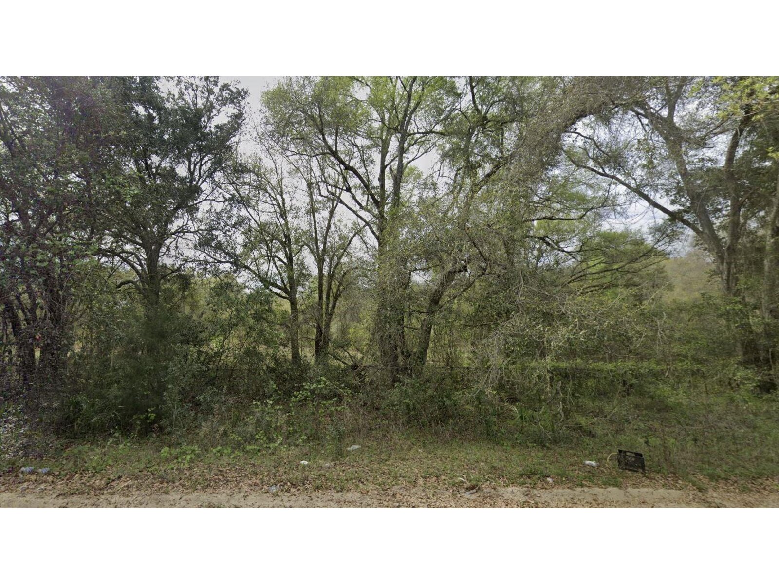Image - 1