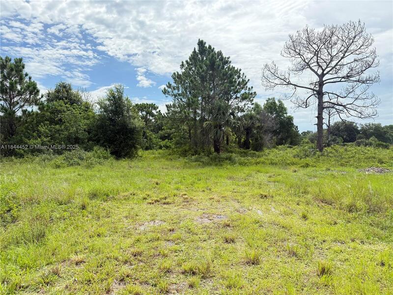 Image - 1