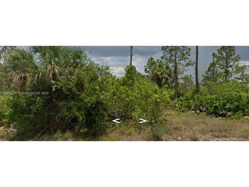 Image - 1