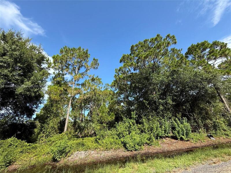 Image - 1