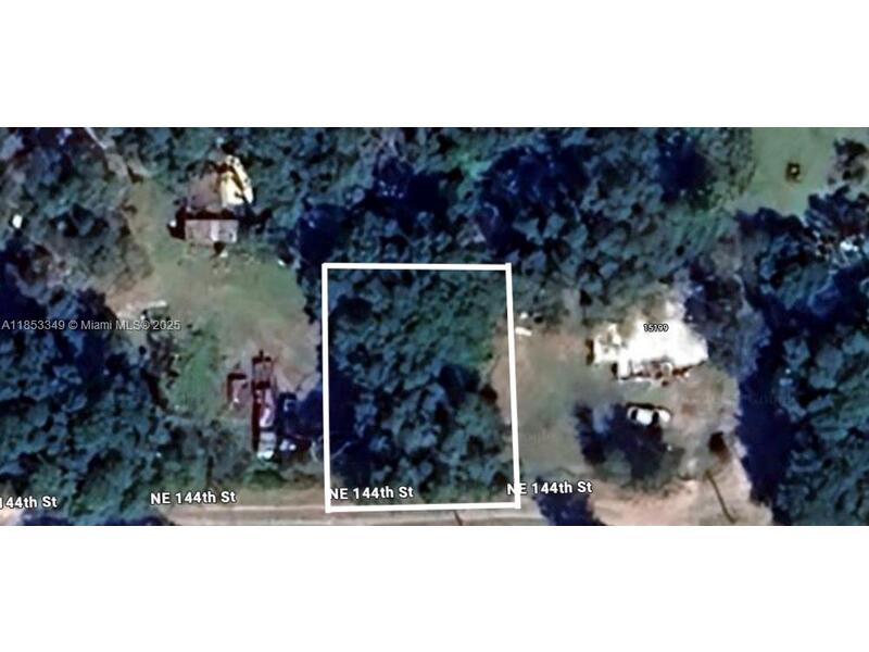 Image - 1