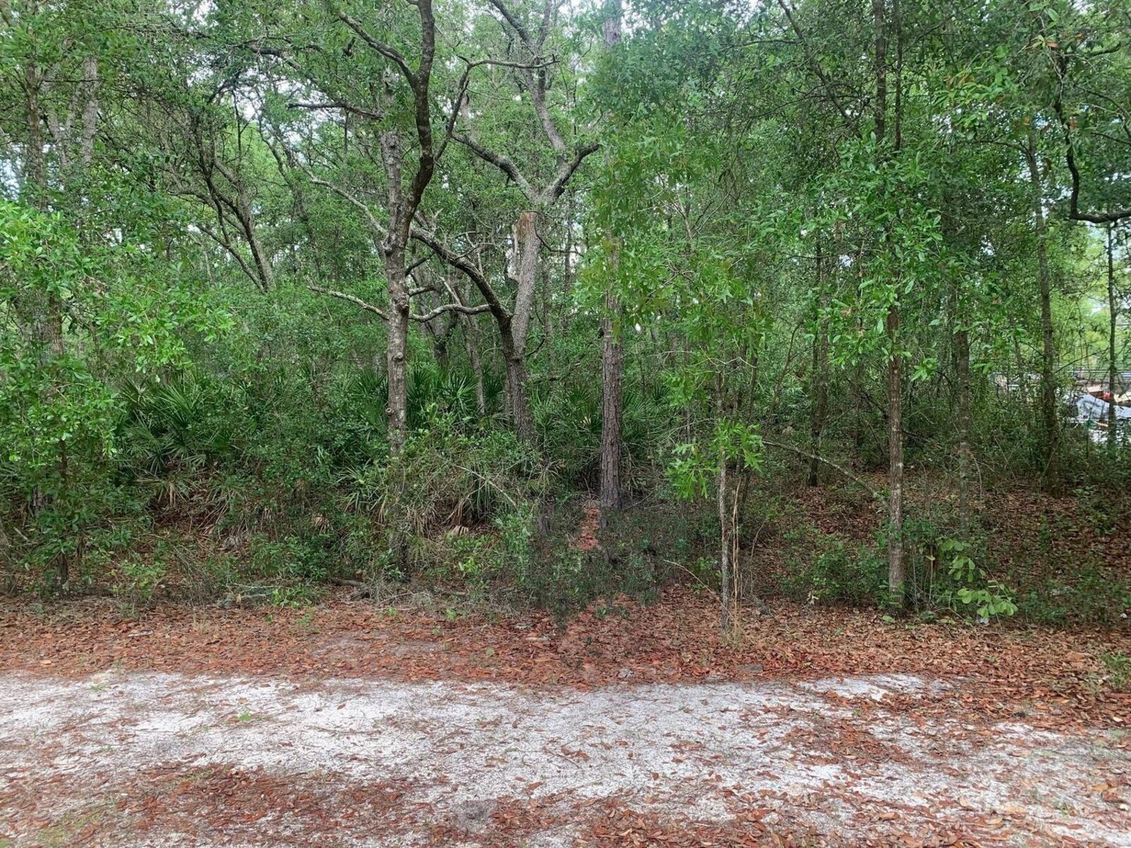 Image - 1