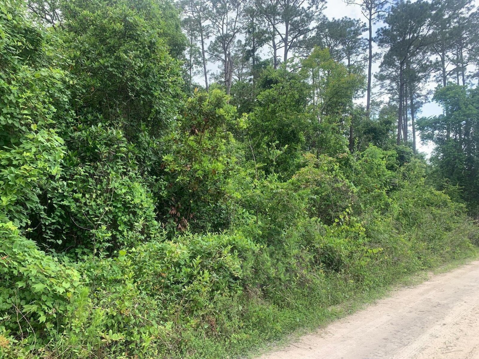 Image - 1