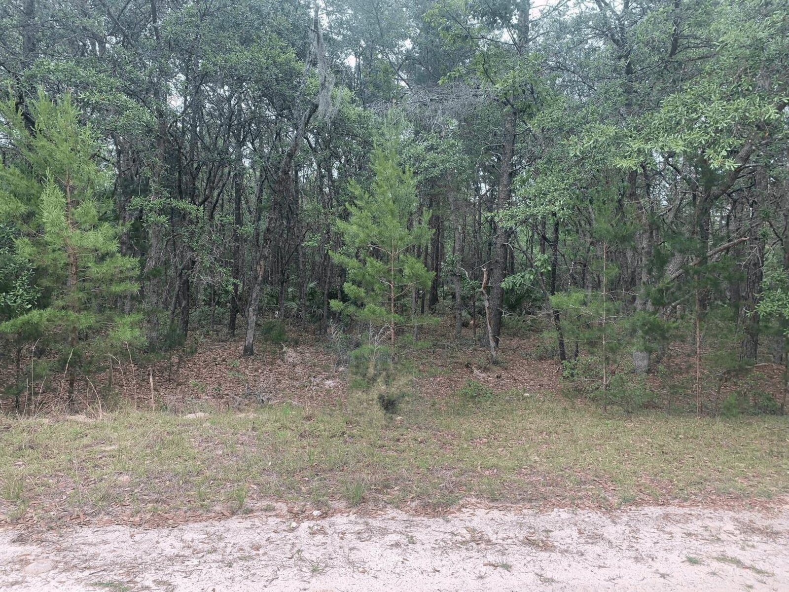 Image - 1