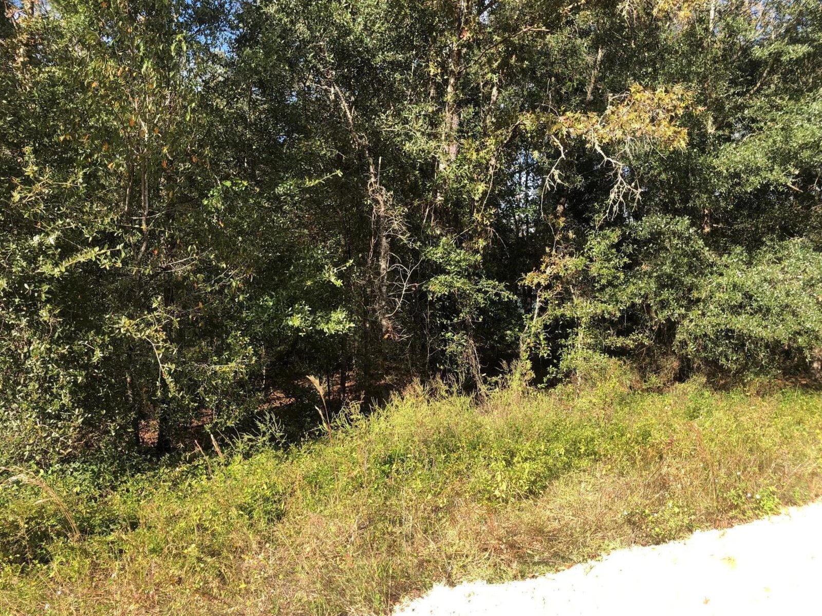 Image - 1