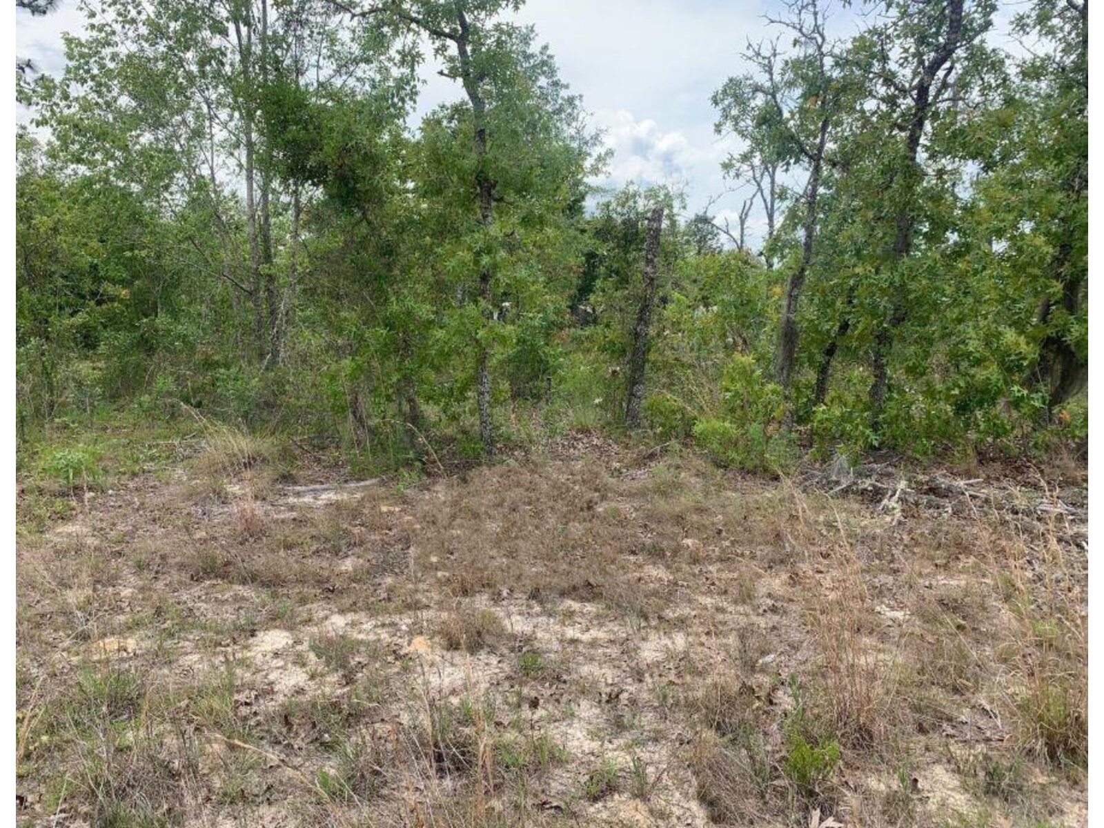 Image - 1