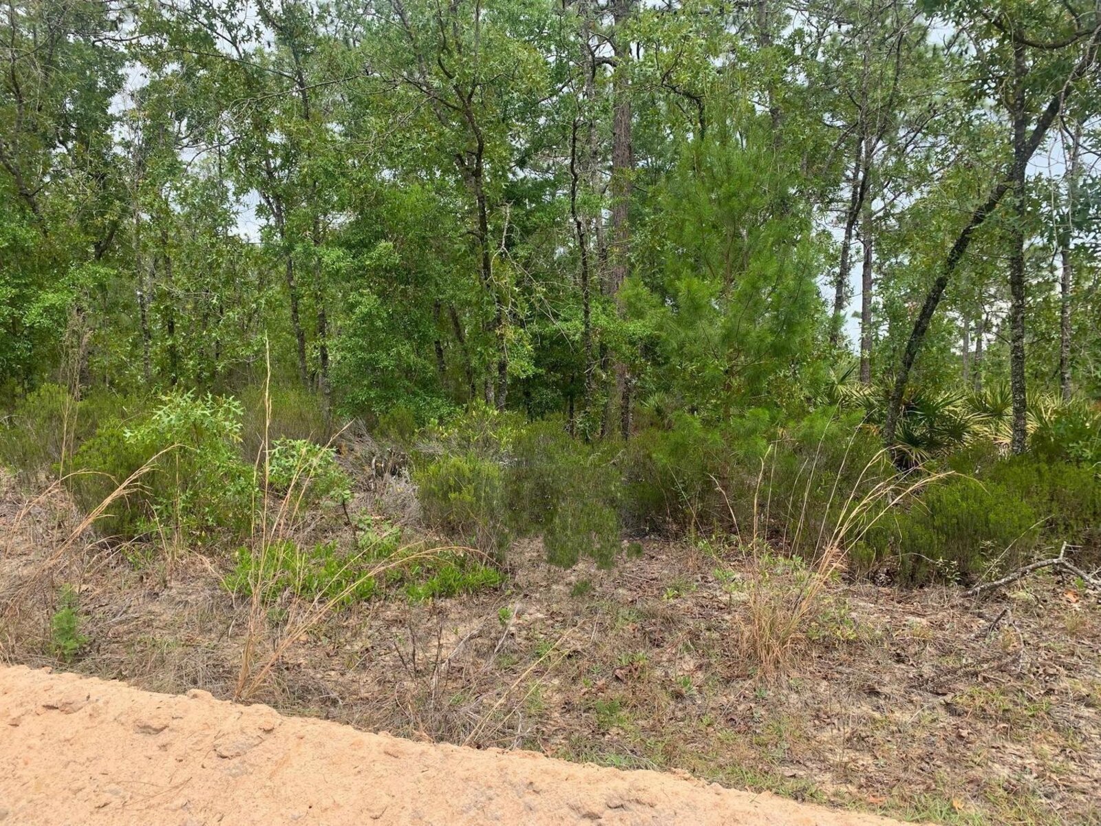 Image - 1