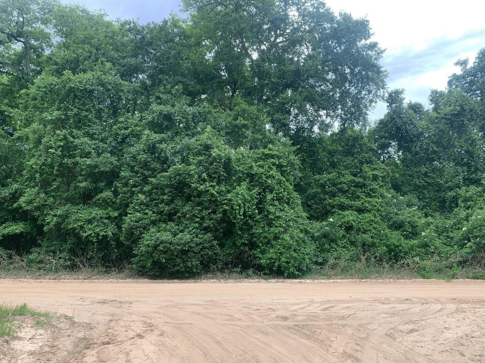 Image - 1