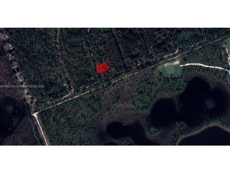 Image - 1
