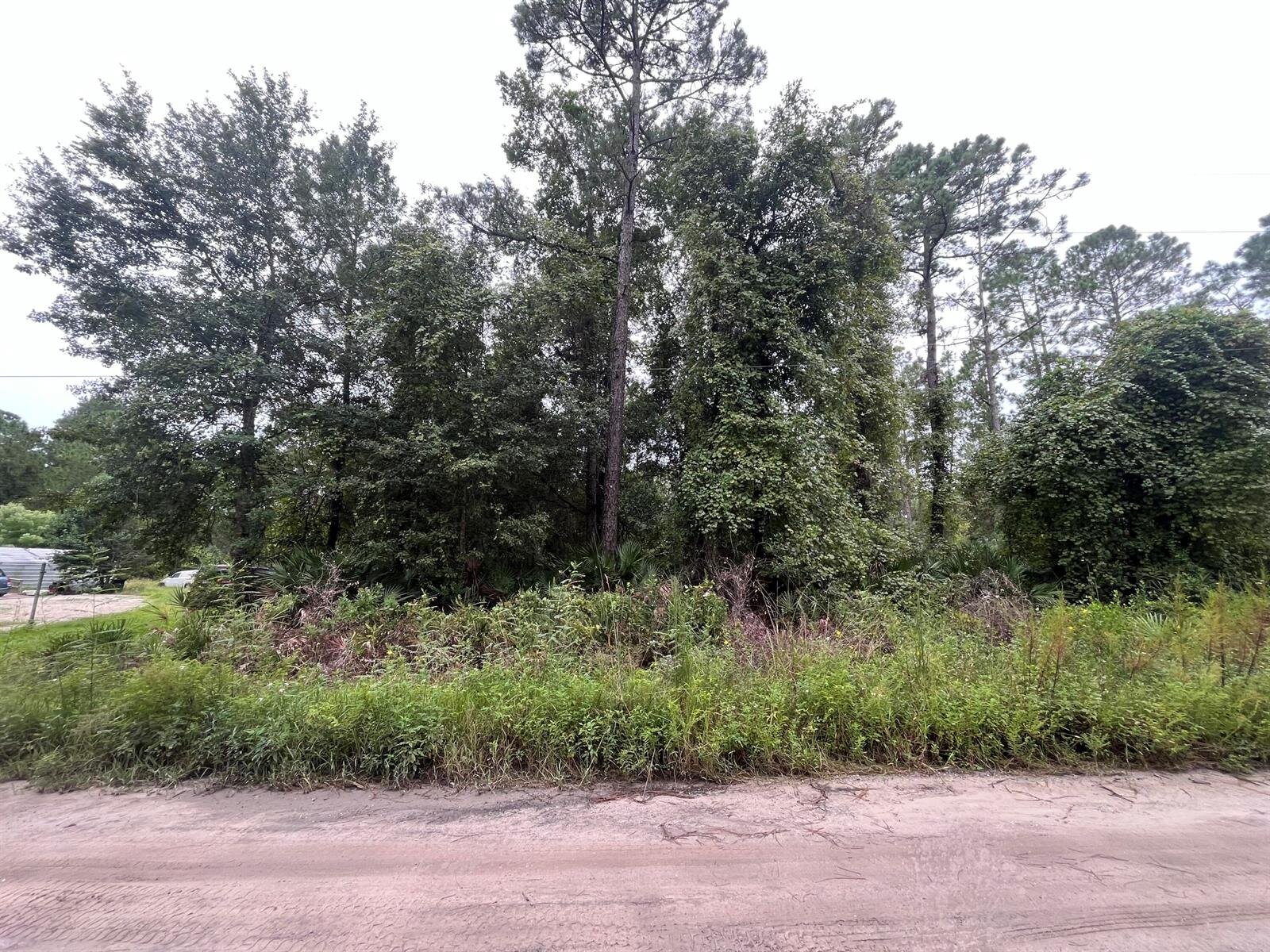 Image - 1