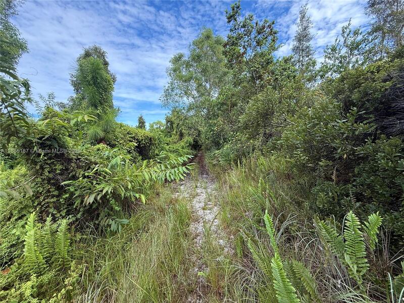 Image - 1