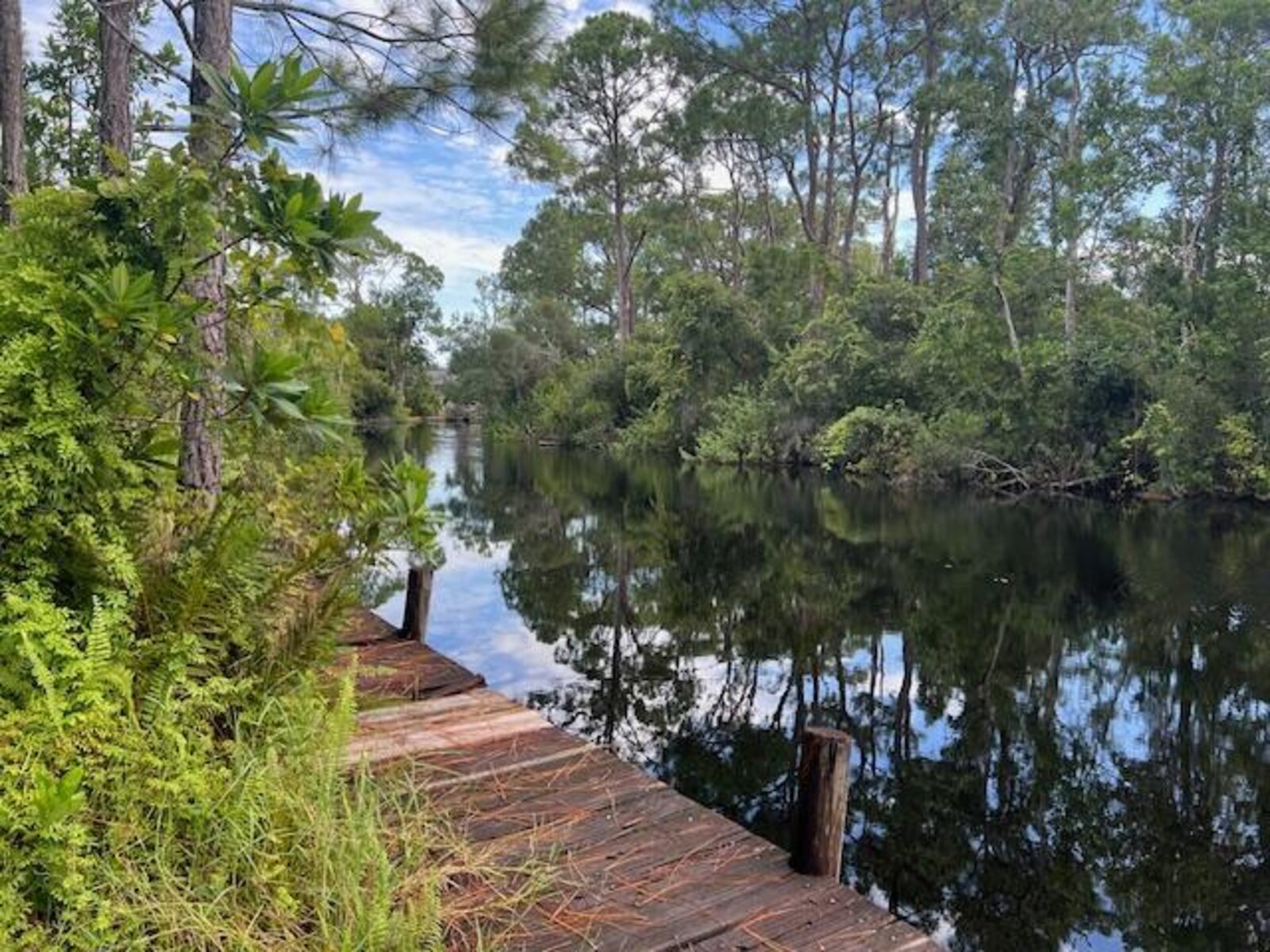 Image - 1